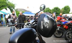 2018loggerheads025