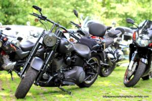 2017ltittesworth058